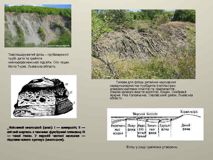 Товстошаруватий фліш – грубозернисті турбі- дити та грейніти нижньокросненської підсвіти. Олі- гоцен. Місто Турка,