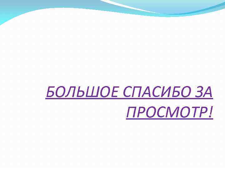 БОЛЬШОЕ СПАСИБО ЗА ПРОСМОТР! 