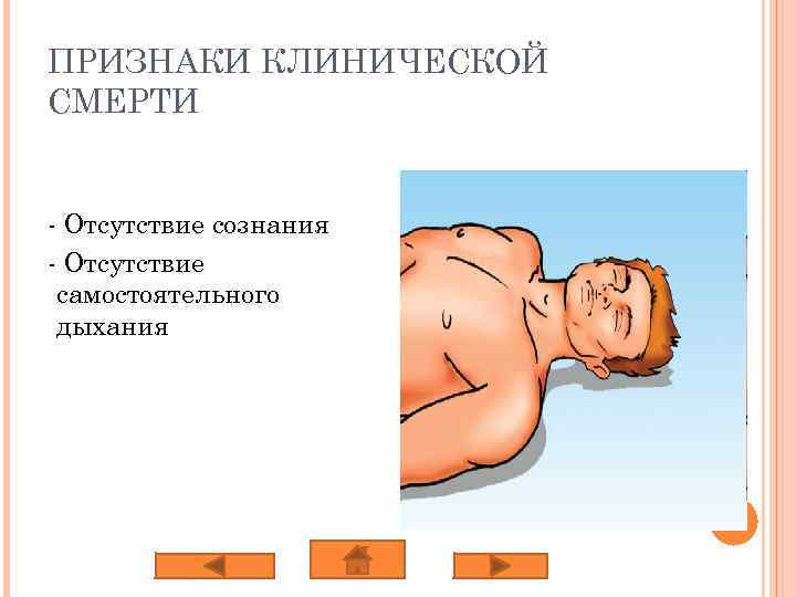 ПРИЗНАКИ КЛИНИЧЕСКОЙ СМЕРТИ - Отсутствие сознания - Отсутствие самостоятельного дыхания 