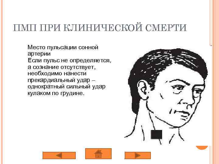 ПМП ПРИ КЛИНИЧЕСКОЙ СМЕРТИ Место пульсации сонной артерии Если пульс не определяется, а сознание