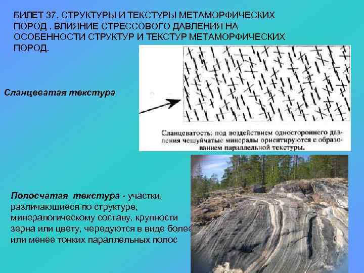 Влияние породы. Сланцеватость метаморфических пород. Структуры и текстуры метаморфических пород. Сланцеватая текстура метаморфических пород. Сланцеватая структура горных пород.