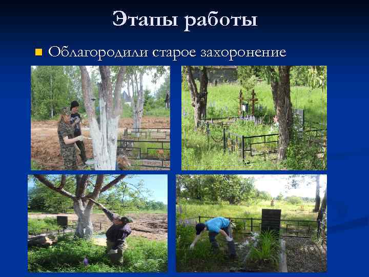 Этапы работы n Облагородили старое захоронение 