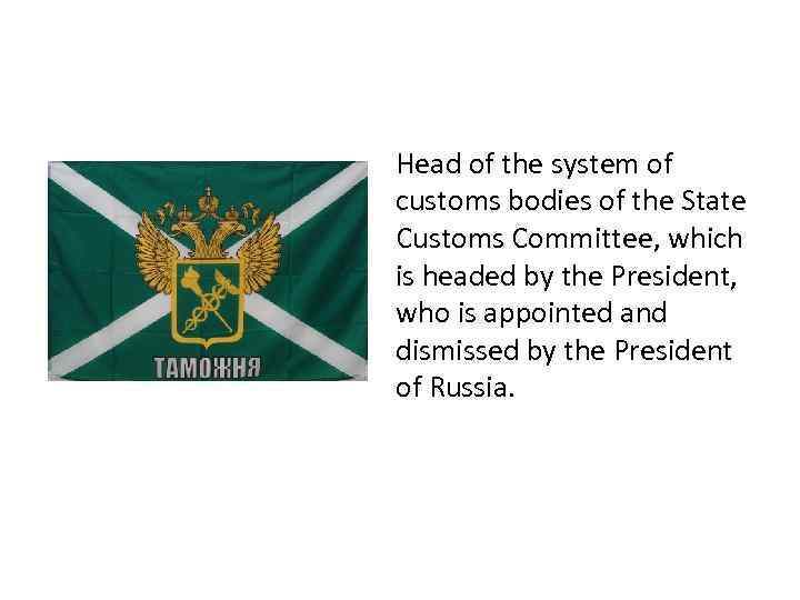 Head of the system of customs bodies of the State Customs Committee, which is