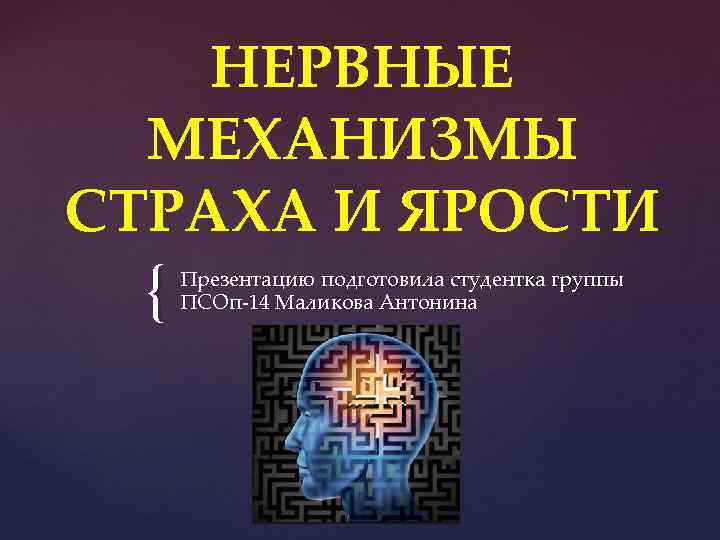НЕРВНЫЕ МЕХАНИЗМЫ СТРАХА И ЯРОСТИ { Презентацию подготовила студентка группы ПСОп-14 Маликова Антонина 