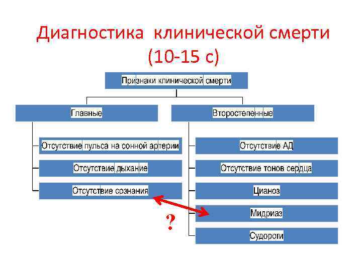 Алгоритм диагностики внезапной смерти схема