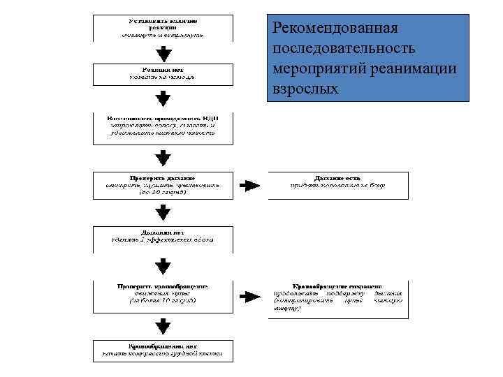 Последовательность проведения реанимации