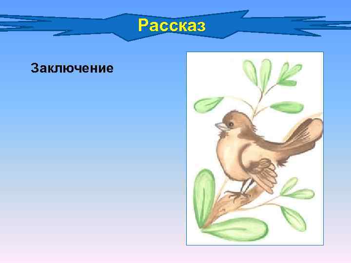 Рассказ Заключение 