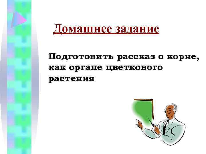 Домашнее задание Подготовить рассказ о корне, как органе цветкового растения 