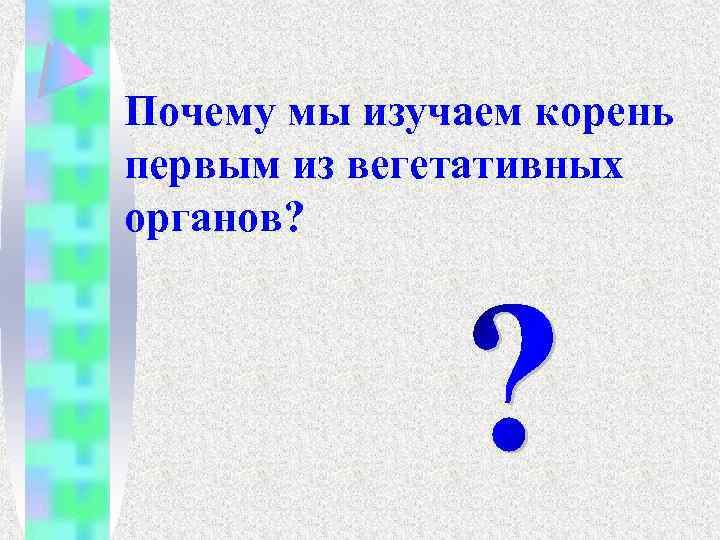 Почему мы изучаем корень первым из вегетативных органов? 