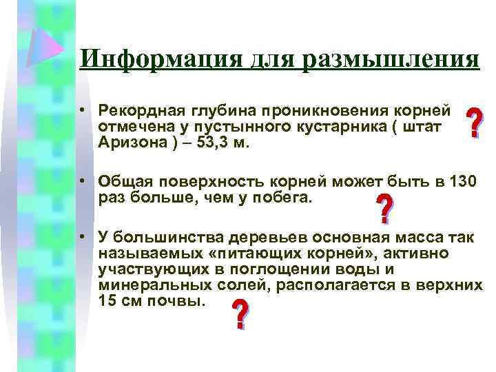 Информация для размышления • Рекордная глубина проникновения корней отмечена у пустынного кустарника ( штат