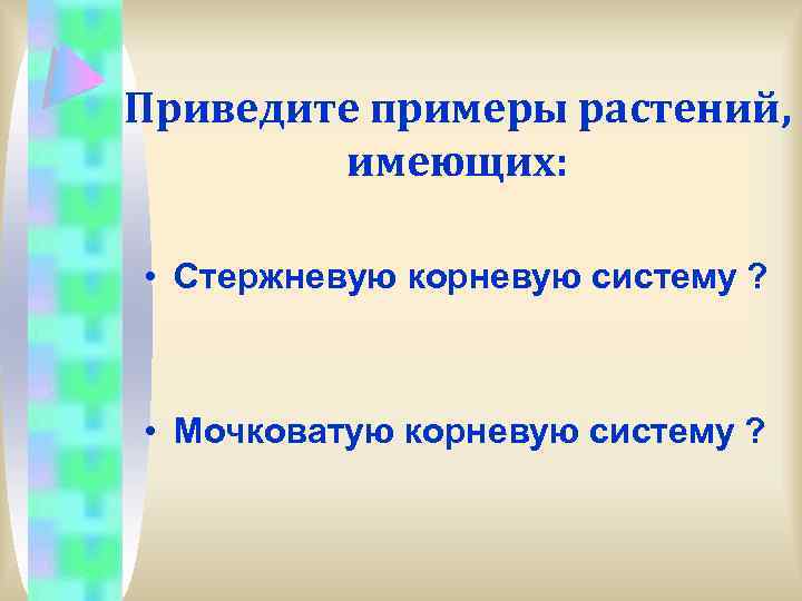 Приведите примеры растений, имеющих: • Стержневую корневую систему ? • Мочковатую корневую систему ?