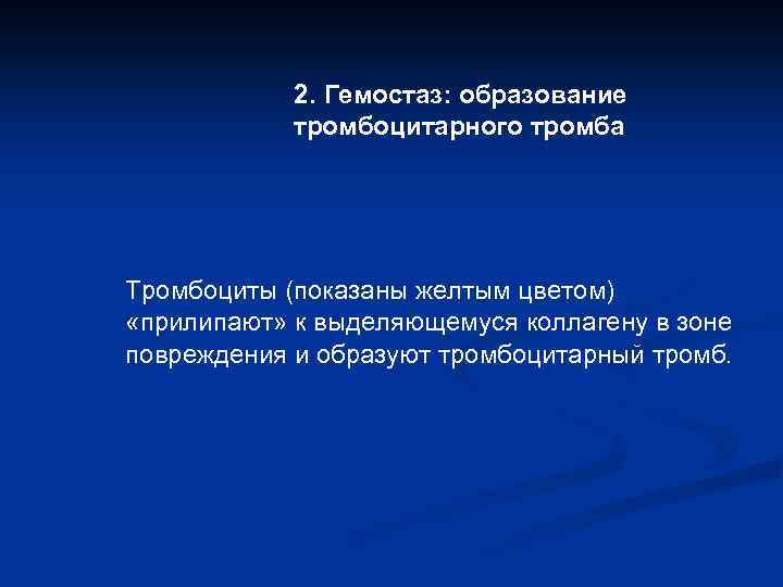 2. Гемостаз: образование тромбоцитарного тромба Тромбоциты (показаны желтым цветом) «прилипают» к выделяющемуся коллагену в