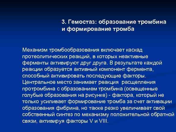 3. Гемостаз: образование тромбина и формирование тромба Механизм тромбообразования включает каскад протеолитических реакций, в