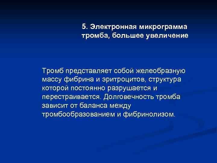 5. Электронная микрограмма тромба, большее увеличение Тромб представляет собой желеобразную массу фибрина и эритроцитов,