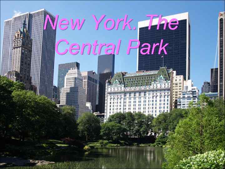 New York. The Central Park 