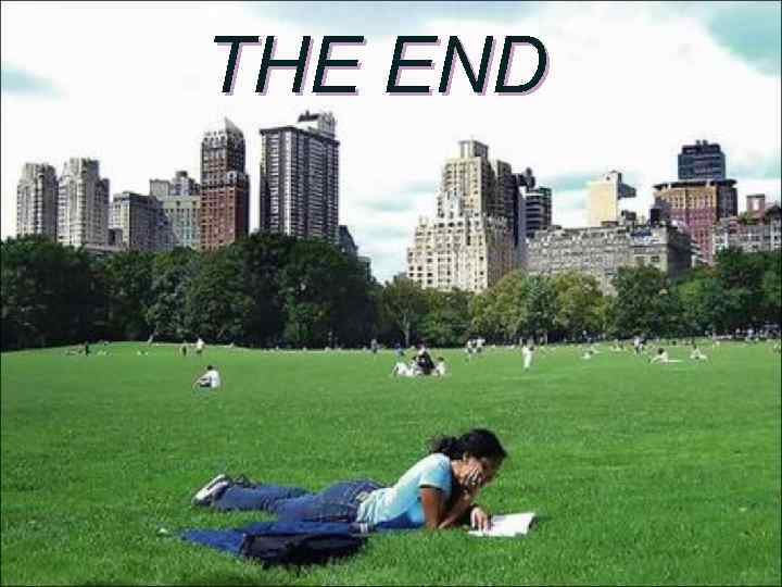 THE END 