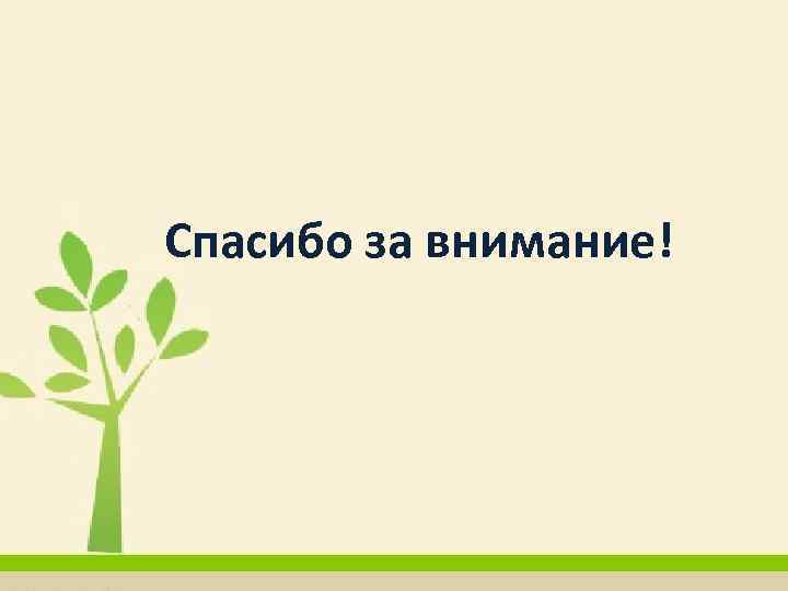 Спасибо за внимание! 