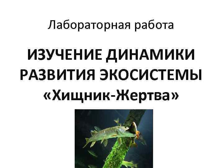 Практическая работа по биологии 9 класс составление схем передачи веществ и энергии