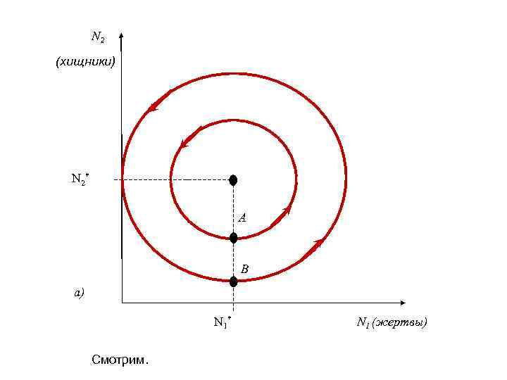 N 2 (хищники) N 2 * A B a) N 1 * Смотрим. N