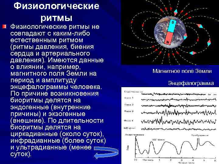 Физиологические ритмы не совпадают с каким-либо естественным ритмом (ритмы давления, биения сердца и артериального