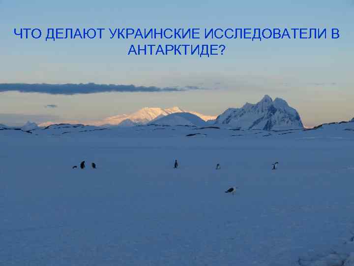 ЧТО ДЕЛАЮТ УКРАИНСКИЕ ИССЛЕДОВАТЕЛИ В АНТАРКТИДЕ? 