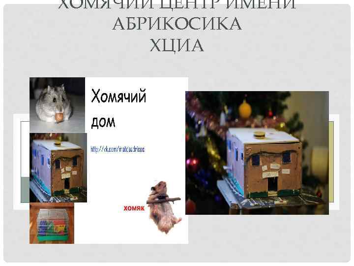 ХОМЯЧИЙ ЦЕНТР ИМЕНИ АБРИКОСИКА ХЦИА 