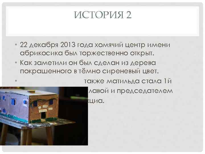 ИСТОРИЯ 2 • 22 декабря 2013 года хомячий центр имени абрикосика был торжественно открыт.