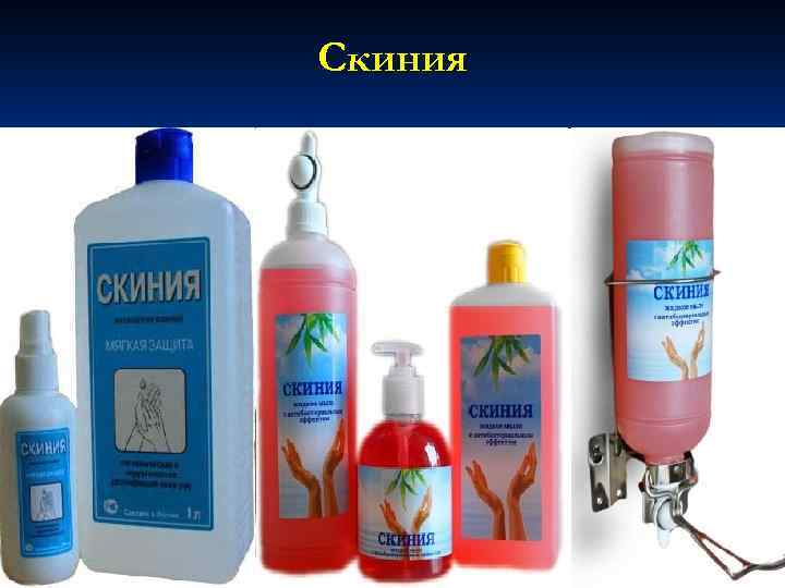 Скиния 