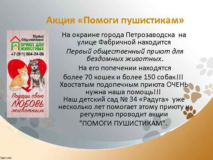 Акция «Помоги пушистикам» На окраине города Петрозаводска на улице Фабричной находится Первый общественный приют