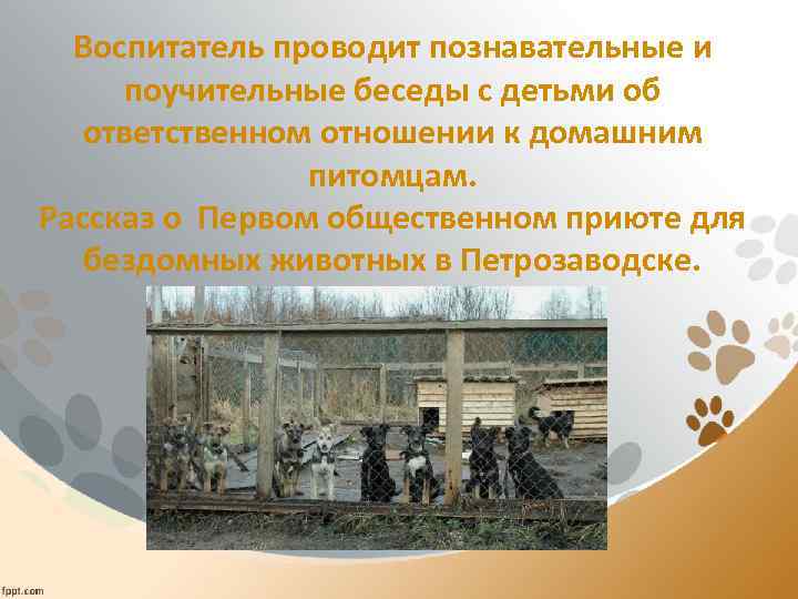 Воспитатель проводит познавательные и поучительные беседы с детьми об ответственном отношении к домашним питомцам.