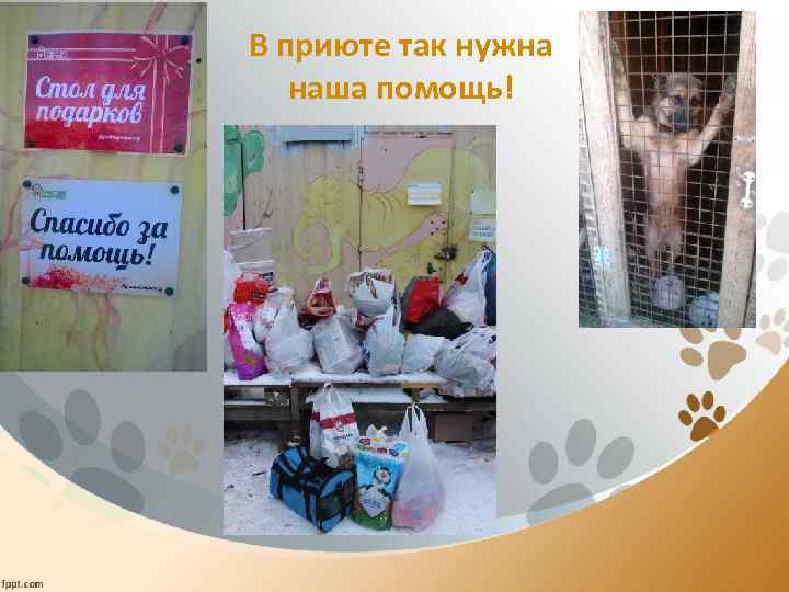 В приюте так нужна наша помощь! 
