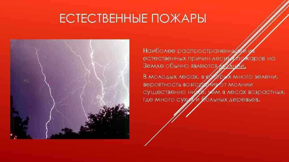 ЕСТЕСТВЕННЫЕ ПОЖАРЫ Наиболее распространенными из естественных причин лесных пожаров на Земле обычно являются молнии.