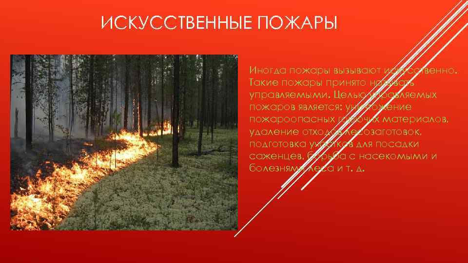 ИСКУССТВЕННЫЕ ПОЖАРЫ Иногда пожары вызывают искусственно. Такие пожары принято называть управляемыми. Целью управляемых пожаров