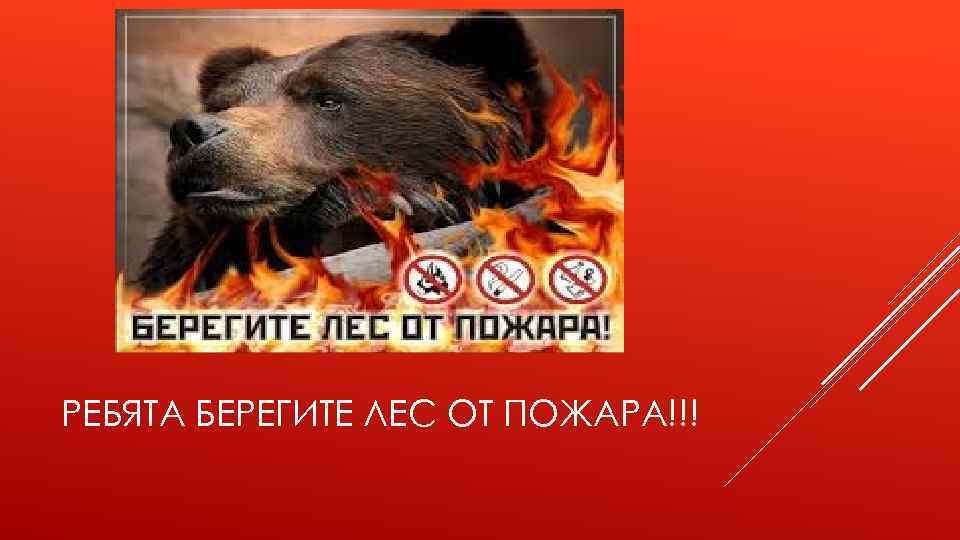 РЕБЯТА БЕРЕГИТЕ ЛЕС ОТ ПОЖАРА!!! 