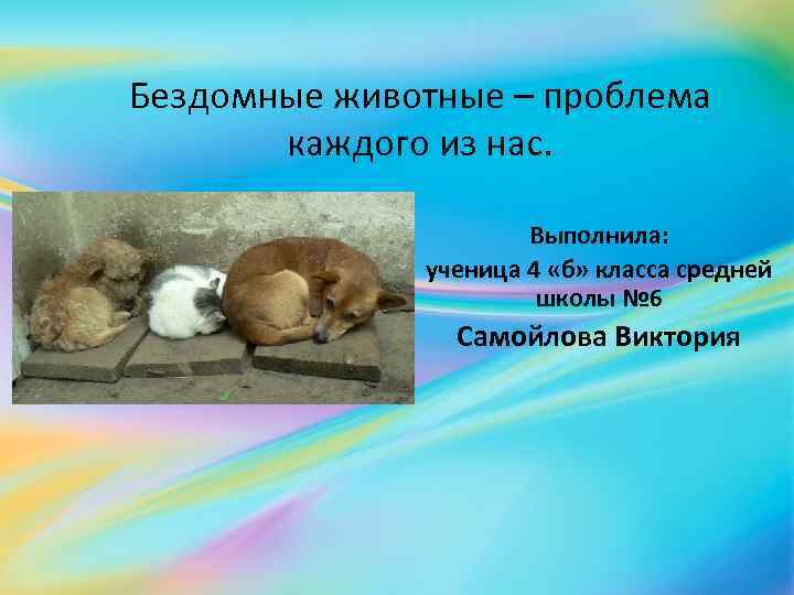 Бездомные животные – проблема каждого из нас. Выполнила: ученица 4 «б» класса средней школы