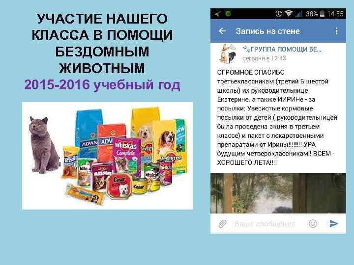 УЧАСТИЕ НАШЕГО КЛАССА В ПОМОЩИ БЕЗДОМНЫМ ЖИВОТНЫМ 2015 -2016 учебный год 
