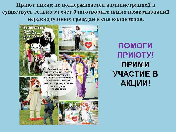 Приют никак не поддерживается администрацией и существует только за счет благотворительных пожертвований неравнодушных граждан