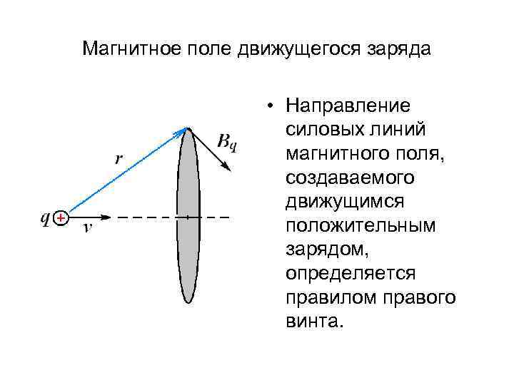 Магнитное поле движущегося заряда • Направление силовых линий магнитного поля, создаваемого движущимся положительным зарядом,