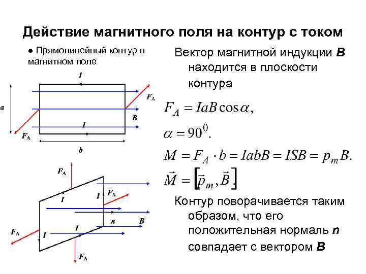 Действие магнитного поля на контур с током ● Прямолинейный контур в магнитном поле Вектор