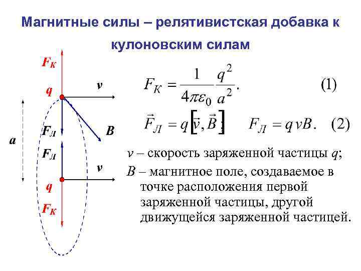 В поле подковообразного магнита помещен проводник с током перпендикулярно к плоскости рисунка