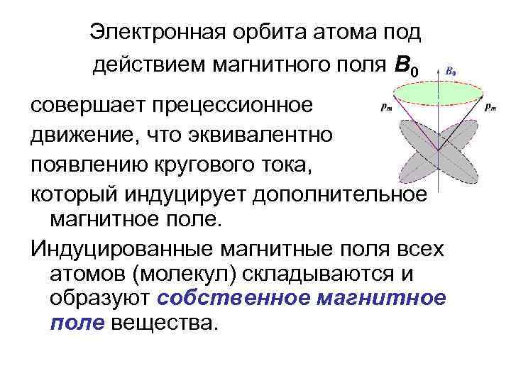 Электронная орбита атома под действием магнитного поля В 0 совершает прецессионное движение, что эквивалентно