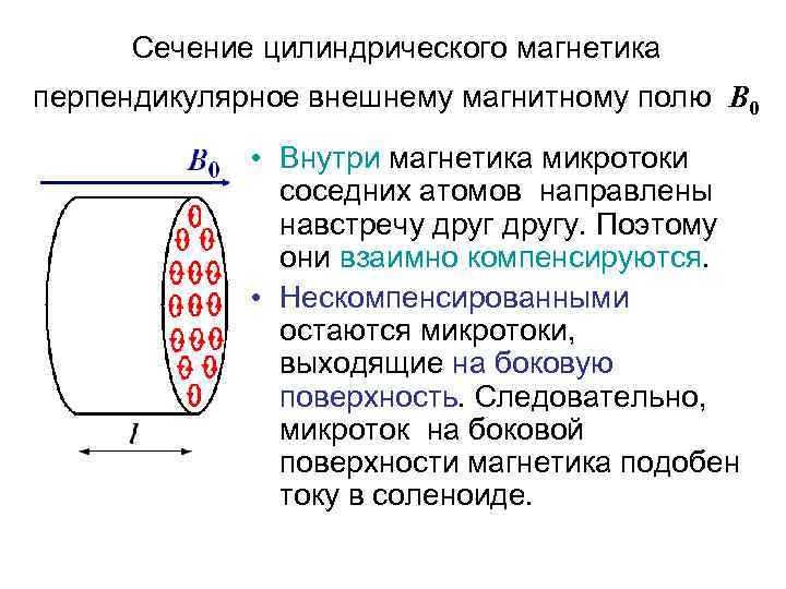 Сечение цилиндрического магнетика перпендикулярное внешнему магнитному полю В 0 • Внутри магнетика микротоки соседних