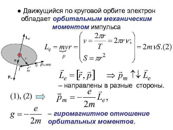 ● Движущийся по круговой орбите электрон обладает орбитальным механическим моментом импульса – направлены в