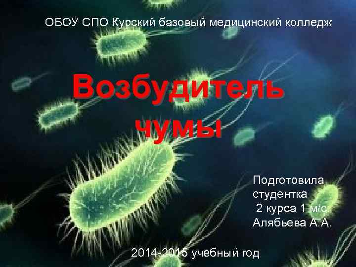 ОБОУ СПО Курский базовый медицинский колледж Возбудитель чумы Подготовила студентка 2 курса 1 м/с: