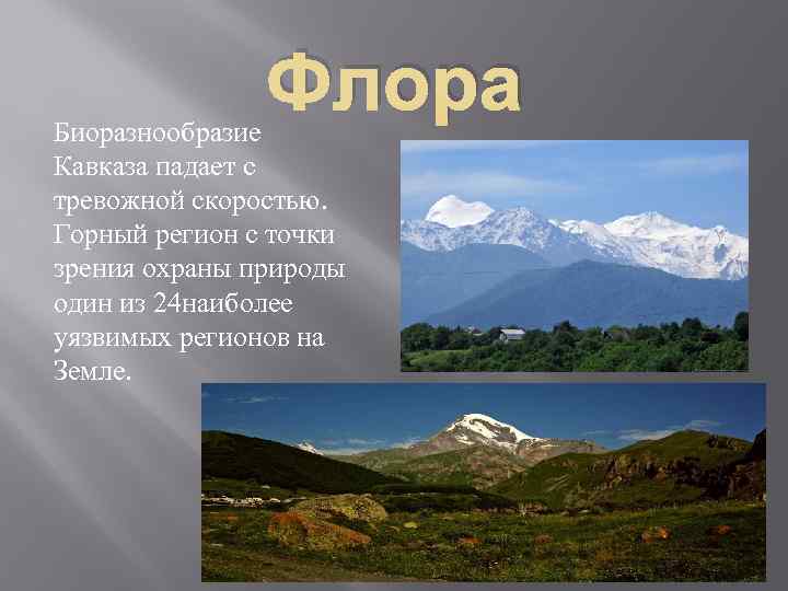 Кавказ самые высокие горы россии презентация 8 класс география