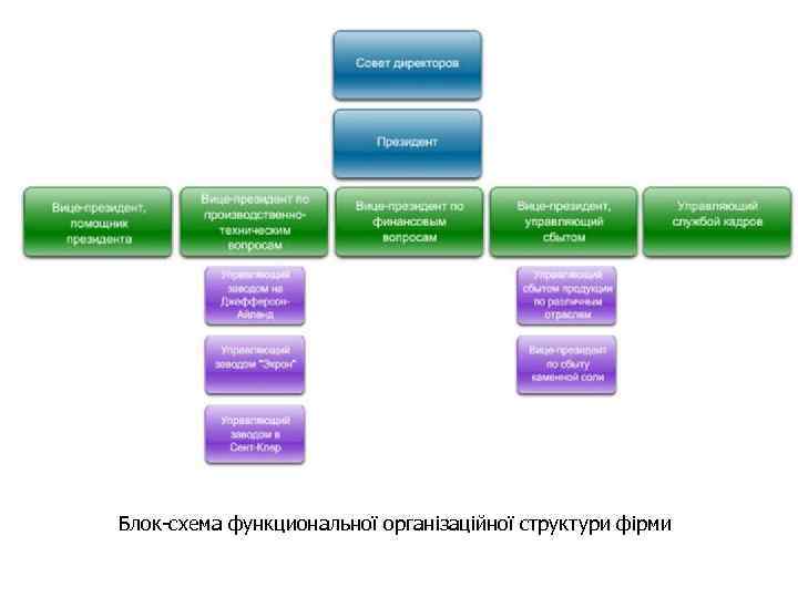 Блок-схема функциональної організаційної структури фірми 