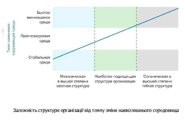 Залежність структури організації від темпу зміни навколишнього середовища 