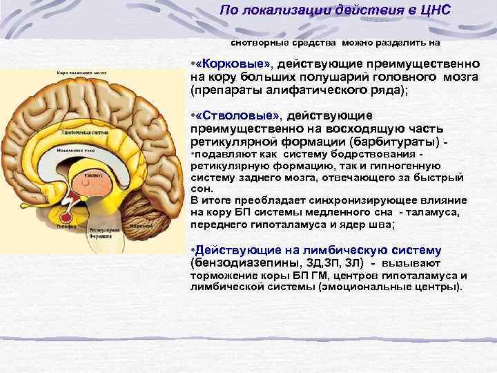 По локализации действия в ЦНС снотворные средства можно разделить на • «Корковые» , действующие