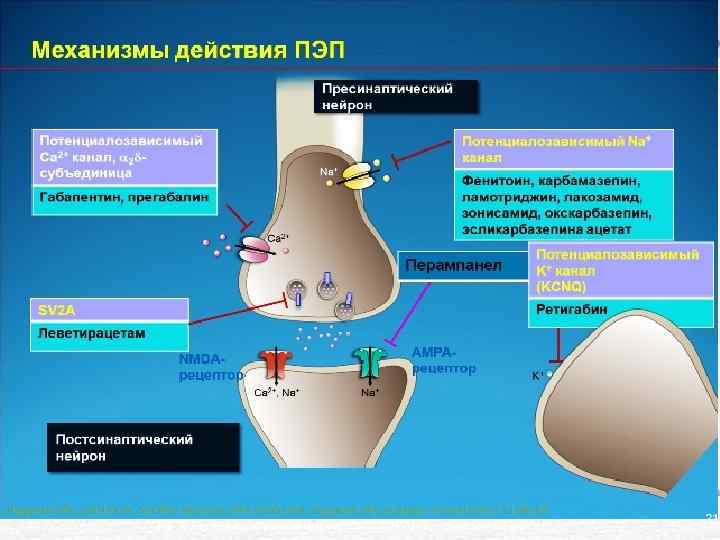 http: //sib-epileptolog. ru/wp-content/uploads/2015/06/Mehanizmy-dejstviya-PEP. jpg 