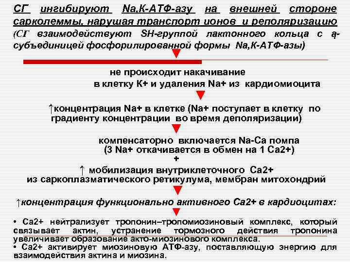 СГ ингибируют Nа, К-АТФ-азу на внешней стороне сарколеммы, нарушая транспорт ионов и реполяризацию (СГ